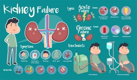 Facts You Need to Know About Kidney Cancer | Pathkind Labs