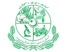 Department of Agriculture, Government of Punjab (Pakistan) — Government ...