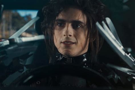 Timothée Chalamet Stars As Edward Scissorhands' Son In Super Bowl Ad