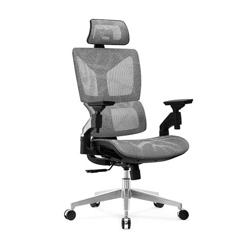 Ergonomica Desk | chairs