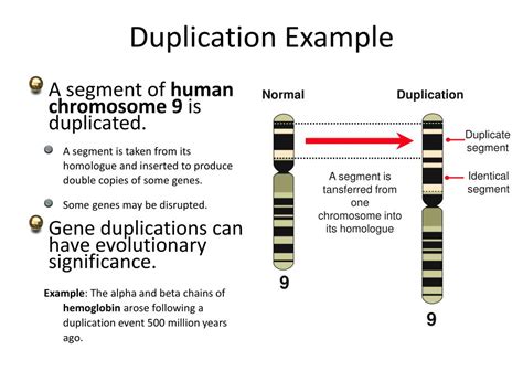 PPT - MUTATIONS PowerPoint Presentation, free download - ID:2201837