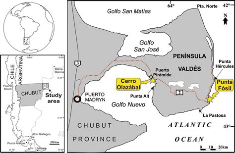 Location sketch map of the Península Valdés in Patagonia, with location ...