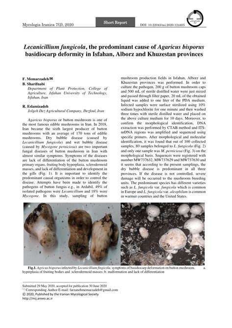 (PDF) Lecanicillium fungicola, the predominant cause of Agaricus ...