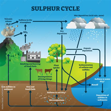 Vetor de Sulphur cycle vector illustration. Labeled geological earth elements scheme do Stock ...