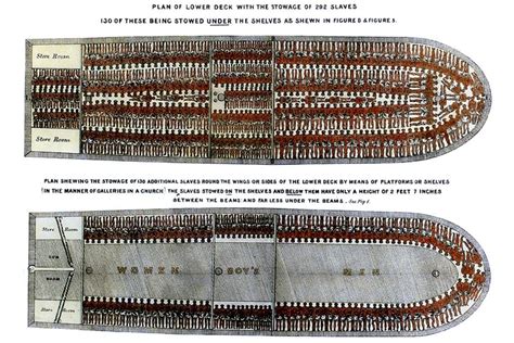 New DNA Study Further Reveals Horrific Reality of the trans-Atlantic Slave Trade - AMIBC℠