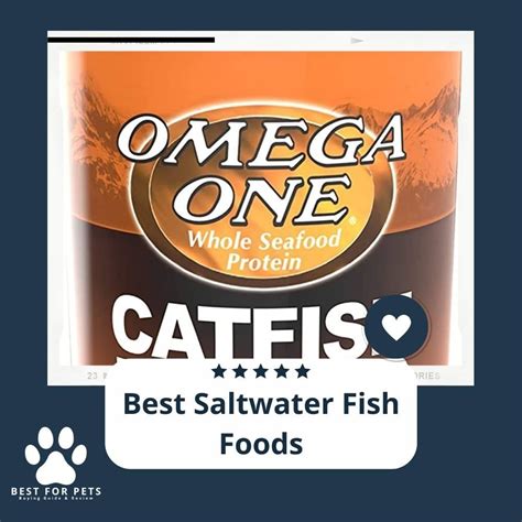 10 Best Saltwater Fish Foods - Reviews & Top Picks - BestForPets.org