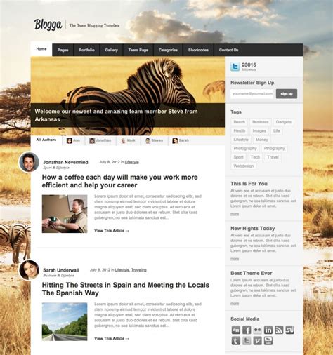 Top 10 Wordpress templates for blogs with responsive design