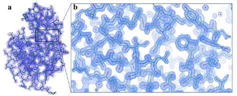 Crystal structure of lysozyme. (a) 2Fo-Fc simulated annealing-omit map ...