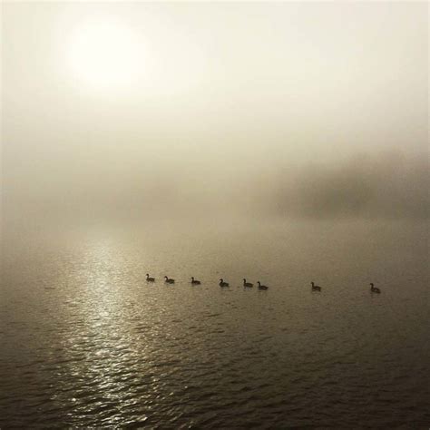 10 Tips For Taking Beautiful iPhone Photos In Mist & Fog