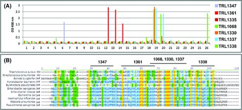 Epitope mapping. For representative mAbs, epitope mapping data are... | Download Scientific Diagram