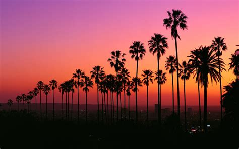 Los Angeles Sunset Wallpapers - Top Free Los Angeles Sunset Backgrounds ...