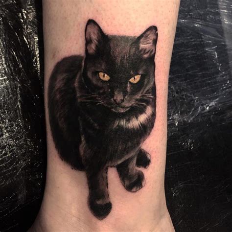 Image result for cat tattoo ideas | Binatang, Kartun, Tatto