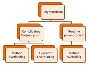 Polymorphism java - maindeveloper