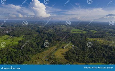 Drone Flying Above Beautiful Rice Terraces. Stock Image - Image of mountains, field: 134637033