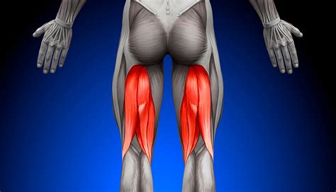 A Pain in the Butt: 5 Signs of Chronic Hamstring Tendinopathy | Sports ...