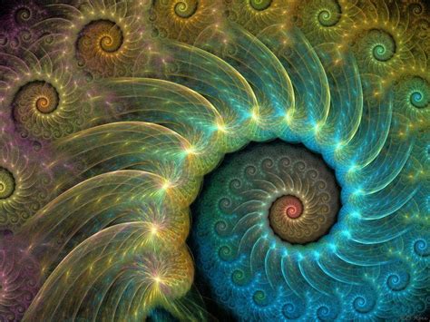 spirale | Fibonacci spiral art, Spiral art, Fractals