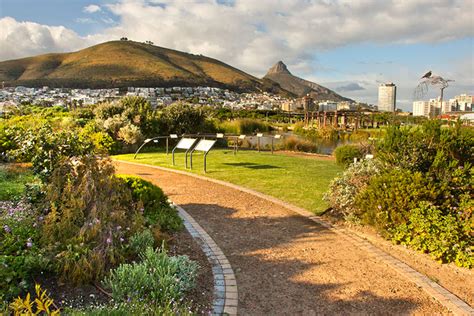 5 Reasons Why You Must Visit the Cape Town Green Point Park