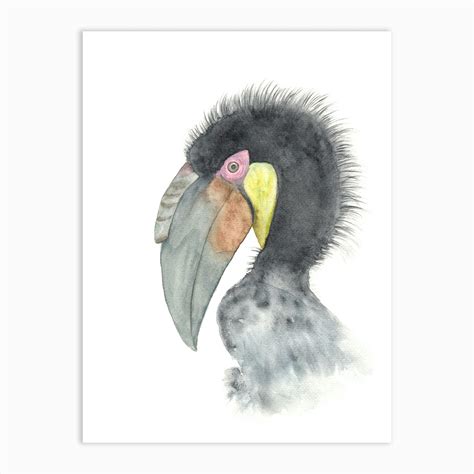 Hornbill bird Art Print by Anastasia - Fy