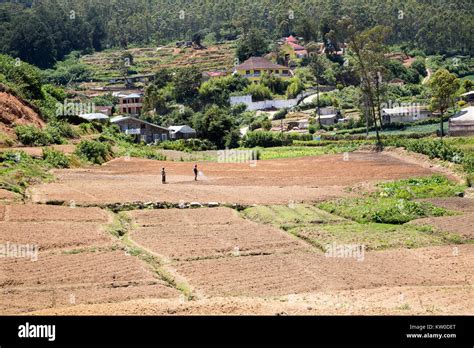 Intensive subsistence farming hi-res stock photography and images - Alamy