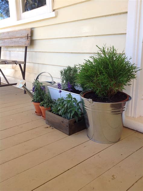 Verandah plants | Plants, Garden, Veranda