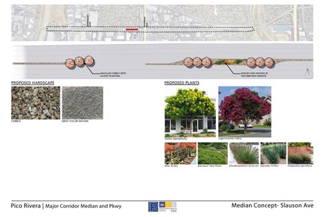 Median Landscaping & Beautification - City of Pico Rivera