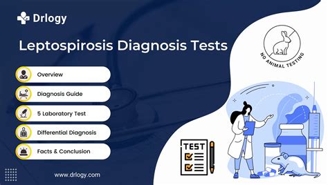 5 Accurate Leptospirosis Test: Detecting the Disease Early! - Drlogy