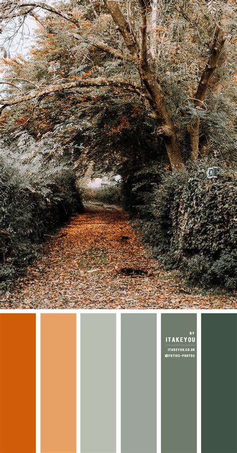 the color palette is orange, green, and grey with some brown leaves on the ground