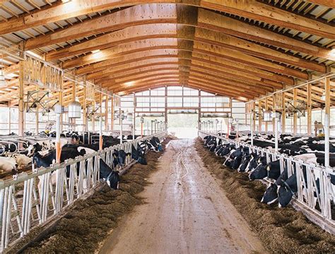 The Dairy Barn, Redesigned - Modern Farmer | Modern farmer, Cow shed ...