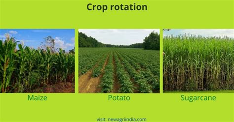 Crop Rotation and its advantages in agriculture