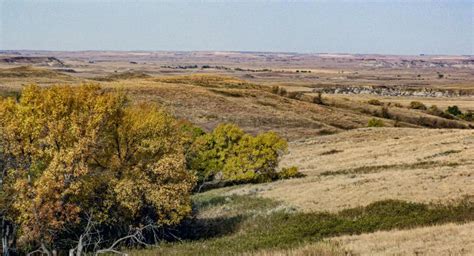 Grant County | NDSU Agriculture