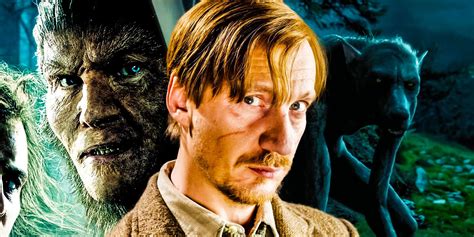 Harry Potter: Why Remus Lupin and Fenrir Greyback Look So Different As Werewolves