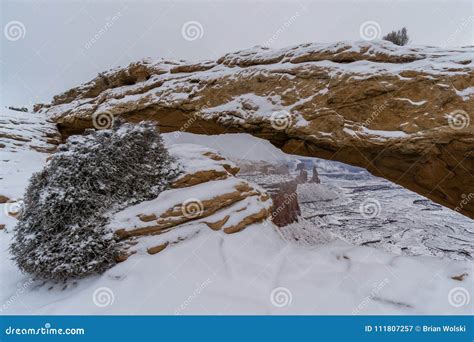 Mesa Arch in Winter stock image. Image of plant, mountain - 111807257