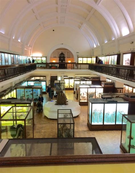 A visit to the Horniman Museum – Universal Histories & Universal Museums