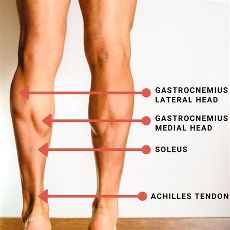 Recurrent Calf Strain in Runners — SHAUN TYLER OSTEOPATH