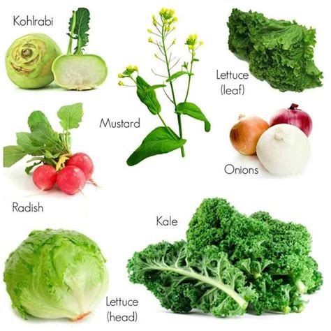 Vegetables Vocabulary in English - ESLBuzz Learning English | Fall ...