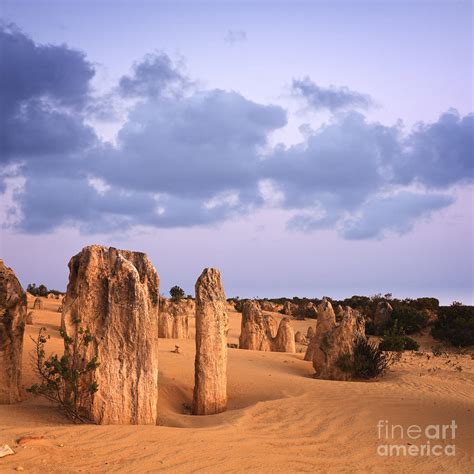 Nambung National Park Photograph by Colin and Linda McKie | Fine Art ...