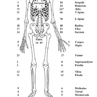 The number of fractures detected in the various regions of the body,... | Download Scientific ...