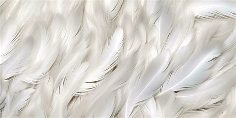 Feather Texture Stock Photos, Images and Backgrounds for Free Download