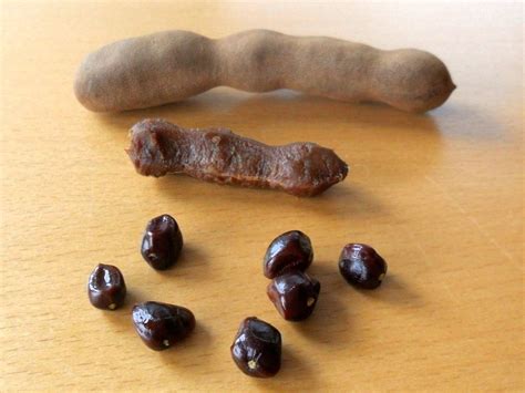 Tamarind Benefits: Secret Tips of Tamarind Seeds - Myanmar Business