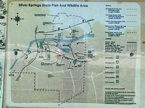 Silver Springs State Park (Yorkville) - 2021 All You Need to Know BEFORE You Go (with Photos ...