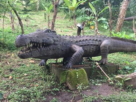 Reptiland Adventure (Tagaytay) - 2020 All You Need to Know Before You Go (with Photos ...