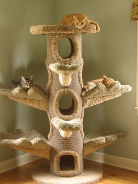 25 Indoor Cat Tree Ideas For Play And Relax | HomeMydesign