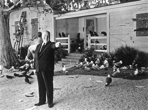 From the Film The Birds (1963) » ShotOnWhat? Behind the Scenes