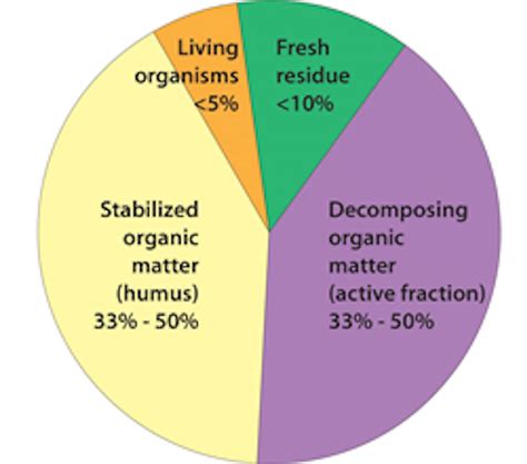 Restoring soil can help address climate change