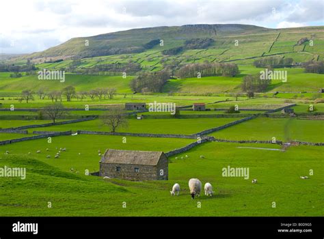 Upper Wensleydale near Hawes, North Yorkshire, Yorkshire Dales National Park, England UK Stock ...