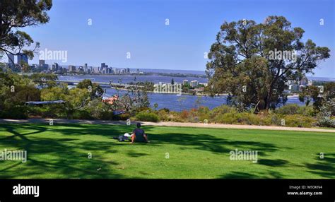 Over looking the vibrant city of Perth and the Swan river from Kings ...