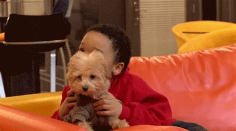Puppy Hug GIFs - Find & Share on GIPHY