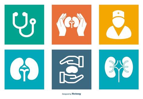 Urology Related Icon Collection 151283 Vector Art at Vecteezy