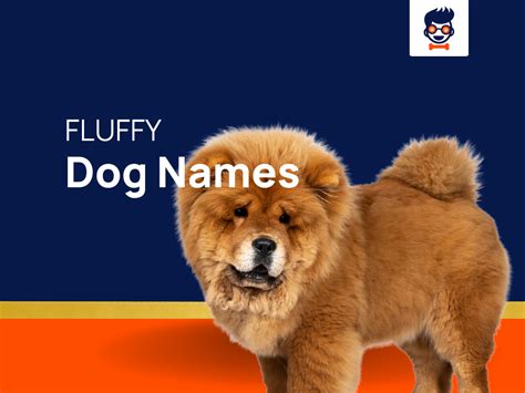 1350+ Fluffy Dog Names That Capture The Serenity Of Fluff!