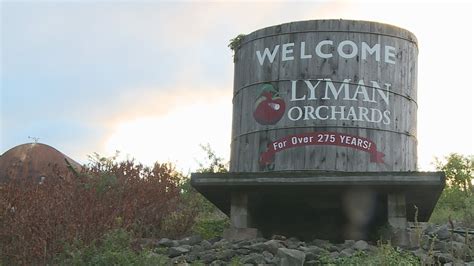 Conn. orchard voted among top 10 apple picking spots in U.S. | fox61.com